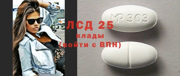 прущие грибы Наволоки