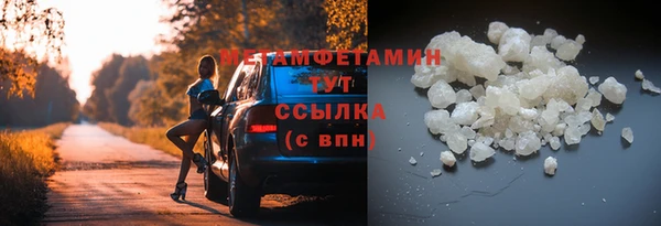 прущие грибы Наволоки