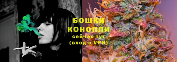 сатива Михайловск