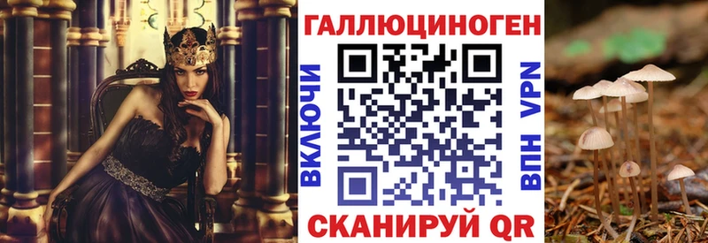 Псилоцибиновые грибы прущие грибы  Купить где  Южно-Сахалинск 